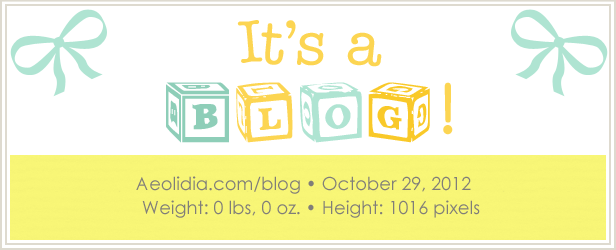 Blog Birth Announcement