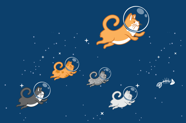 cat mascot illustration