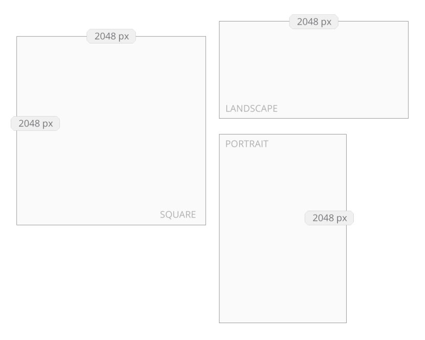 Product Photo Tips 101 Aeolidia