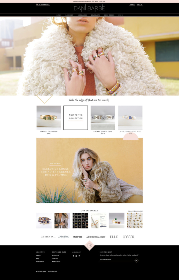 Dani Barbe website design for a modern bohemian jewelry and décor brand.