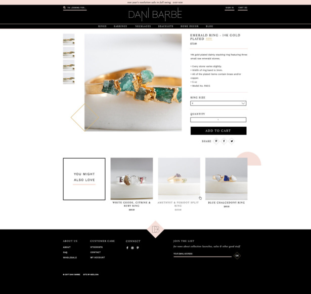 Website design for Dani Barbe a modern bohemian jewelry and décor brand.