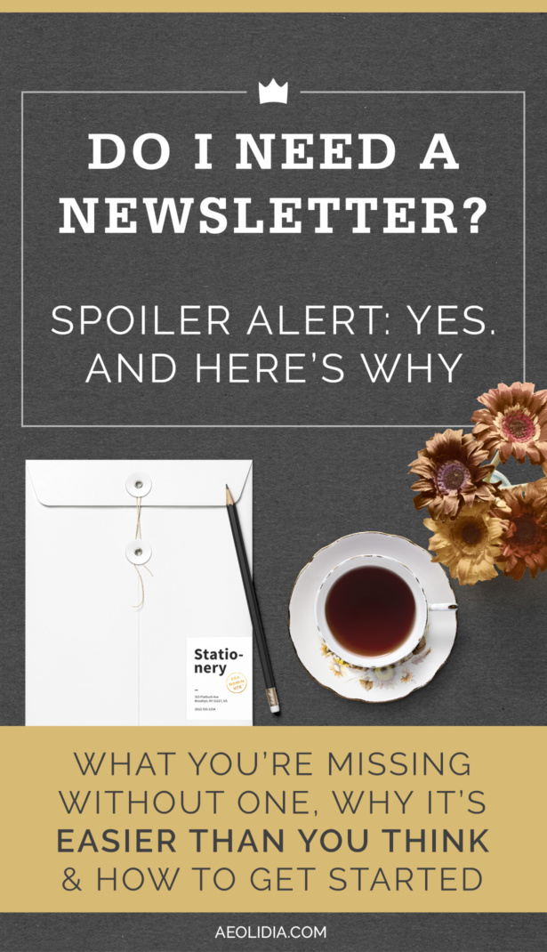 Your newsletter mailing list subscribers are going to be your most valuable asset, once you've built up a list.