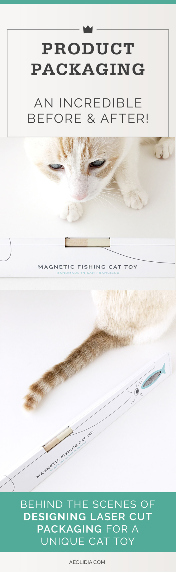 Product Package Design Before & After | Behind the Scenes of Designing Laser-Cut Packaging for a Unique Cat Toy