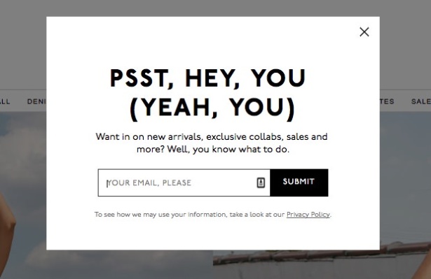 cute email popup window from madewell
