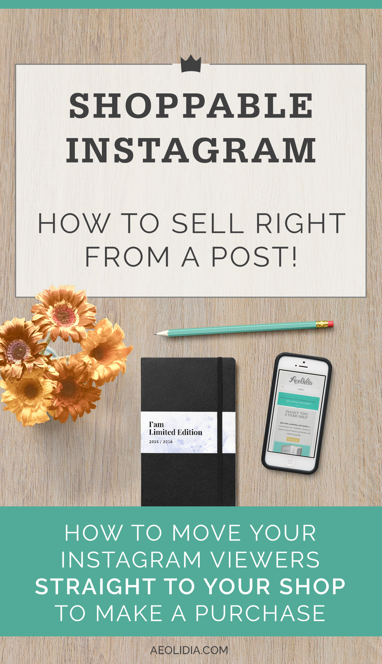 How to Use the New Shopping on Instagram Feature Aeolidia