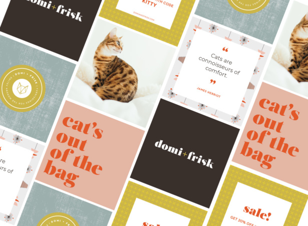 Domi and Frisk brand identity for cat tree company by Aeolidia