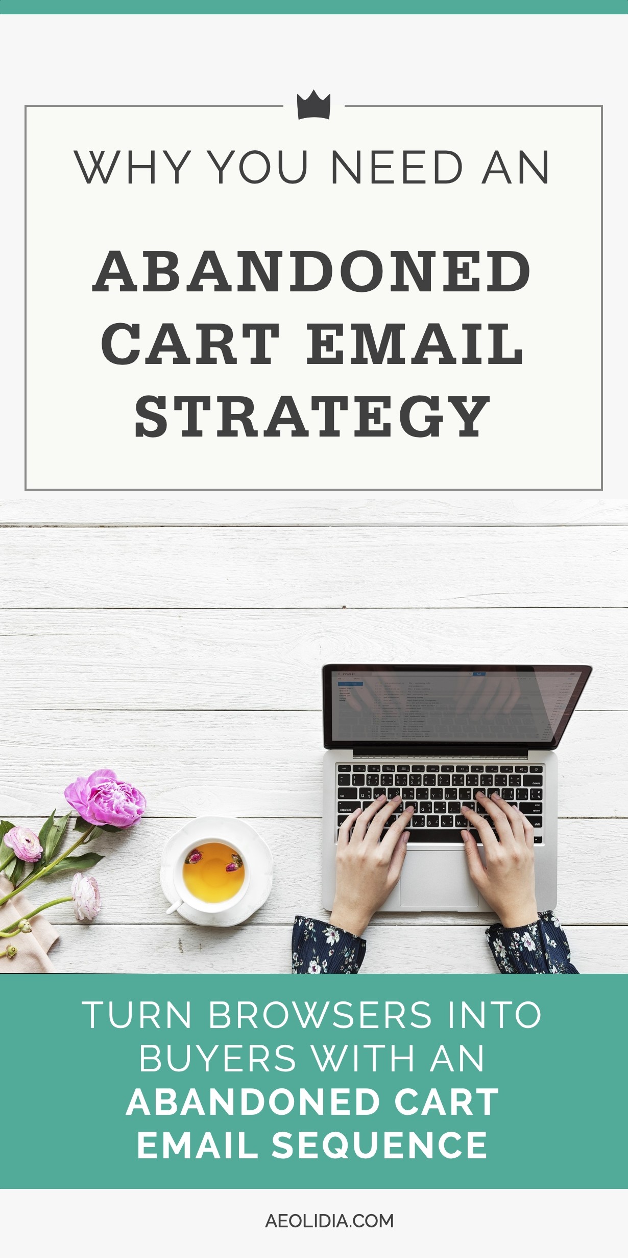 why-you-need-an-abandoned-cart-email-strategy-aeolidia