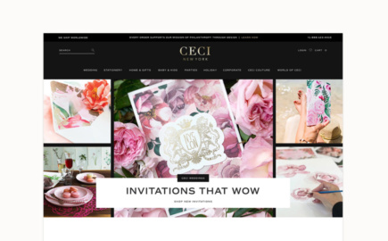Ceci New York custom Shopify website for award-winning luxury design studio