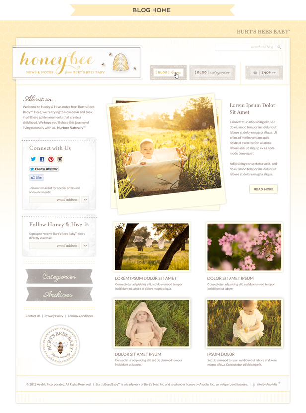 We designed Burt's Bees Baby blog