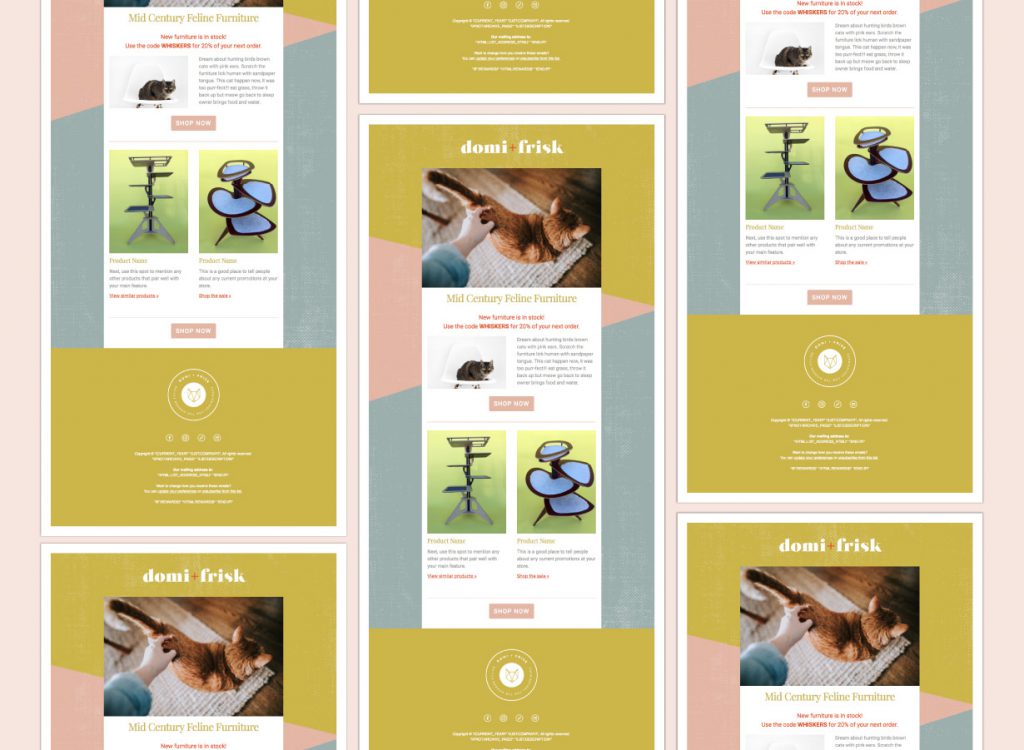 domi-frisk-newsletter-template