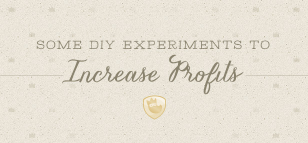 Some DIY Experiments to Increase Profits