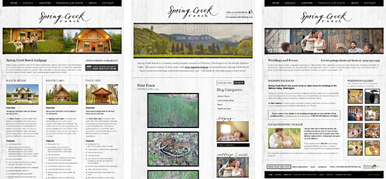 website case study for Spring Creek Ranch - website redesign by Aeolidia