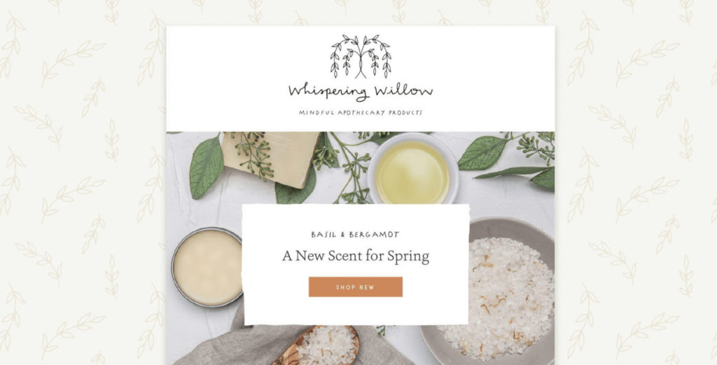 Whispering Willow - email newsletter template design for a natural apothecary line.