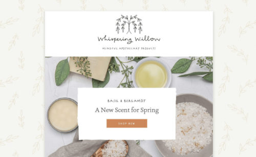 Whispering Willow - email newsletter template design for a natural apothecary line.