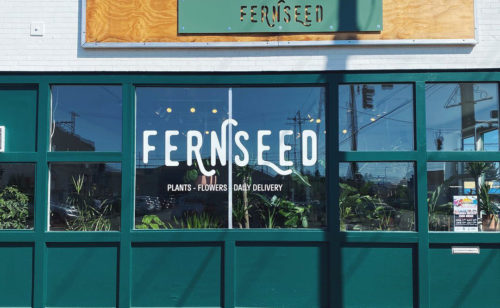 The Fernseed storefront