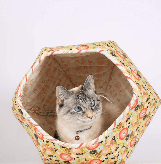 cat in a cat ball