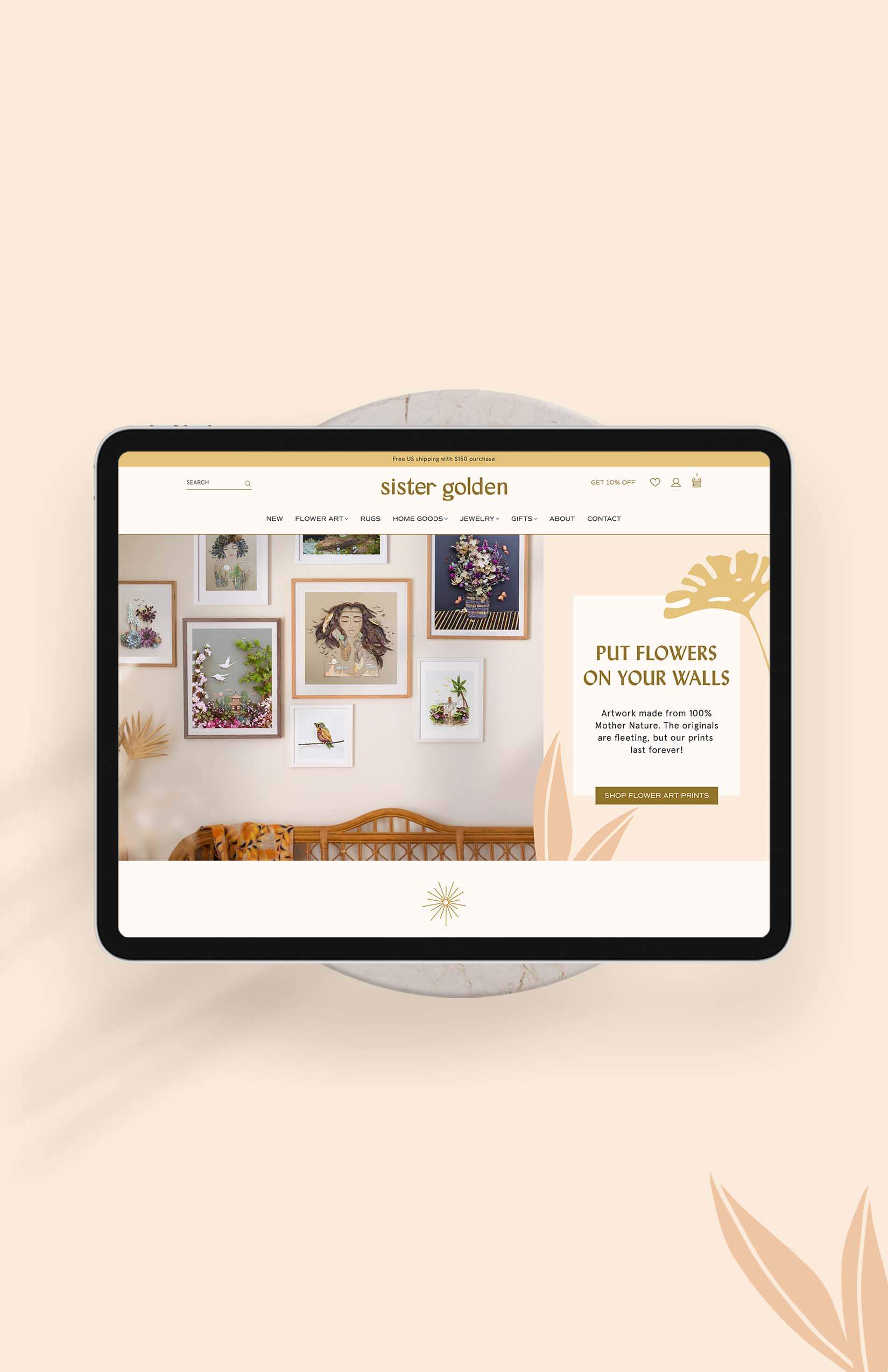 custom Shopify website example from the Aeolidia portfolio