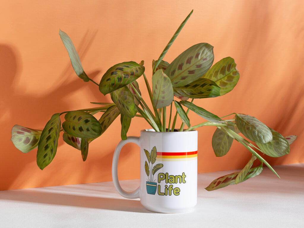 a plant themed mug styled with a plant