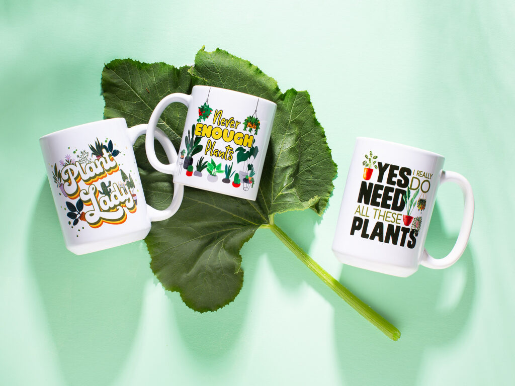 product photo of mugs and a plant leaf