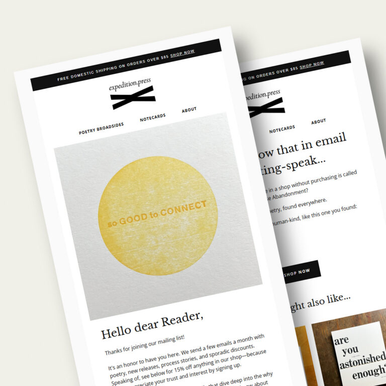 Klaviyo email flows created by Aeolidia for Expedition Press